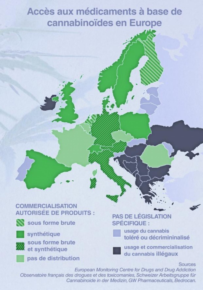 cannabis à usage thérapeutique