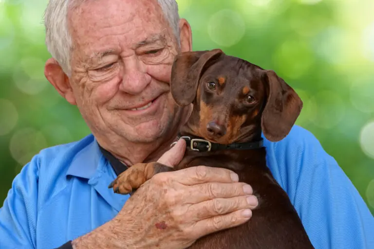 activités pour senior